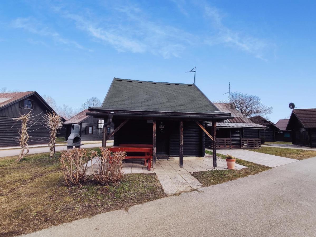 Hiska Catez Villa Brezice Exterior photo